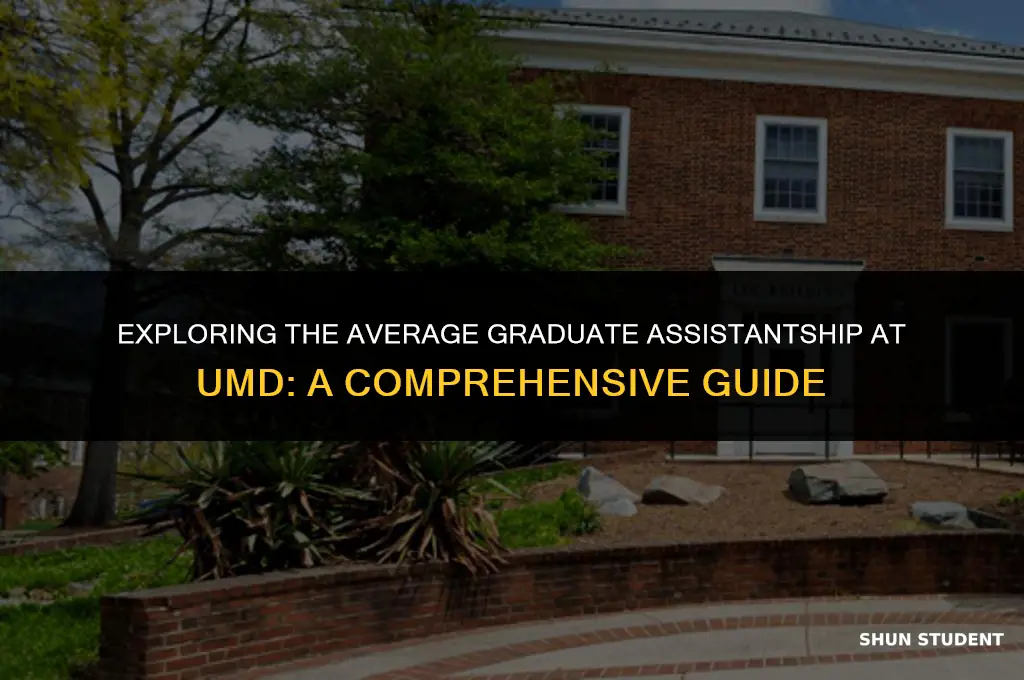 what is the average assitantship for graduate students umd