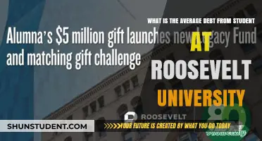 Student Debt Crisis at Roosevelt University: Average Borrowings