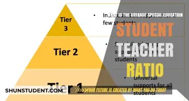 Understanding Special Education: Ideal Student-Teacher Ratios for Effective Learning