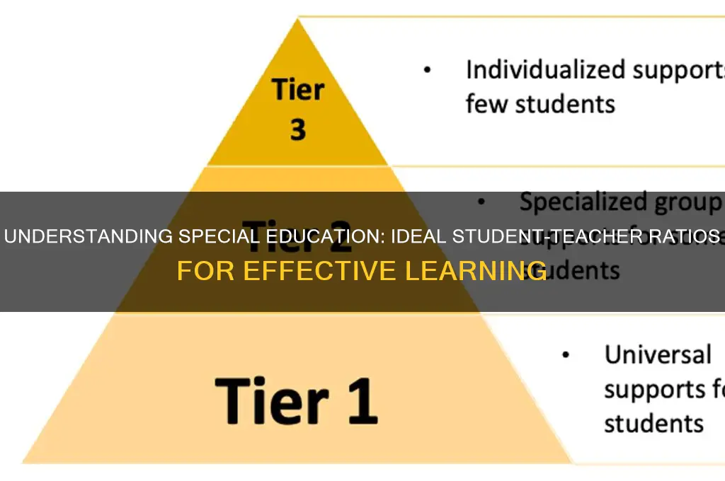 what is the average special education student teacher ratio