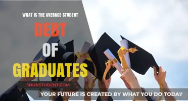 The Burden of Education: Understanding Graduate Student Debt Averages