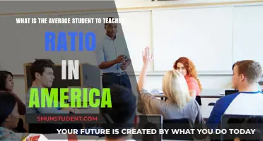 Understanding America's Average Student-to-Teacher Ratio: A Comprehensive Overview