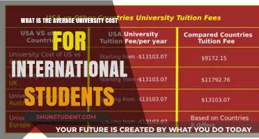 University Fees: International Student Costs Explored