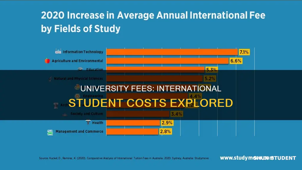 what is the average university cost for international students