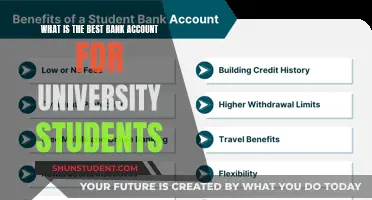 Best Bank Accounts for University Students: Top Picks and Features