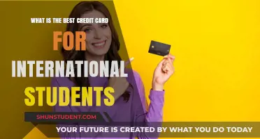 Best Credit Cards for International Students: Top Picks