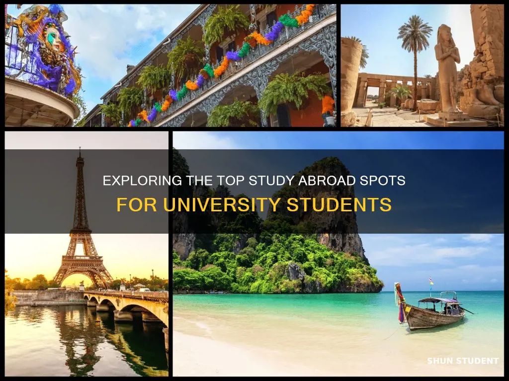 what is the best destination for university students