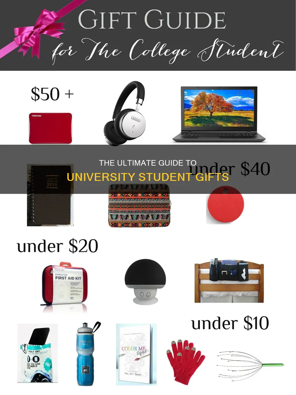 what is the best gift for a university student