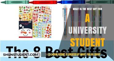 Practical Gifts for University Students: What to Choose?