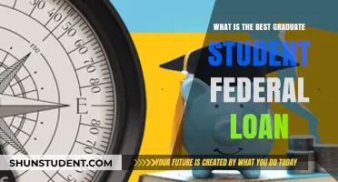 Unlocking the Best Federal Loan Options for Graduate Students