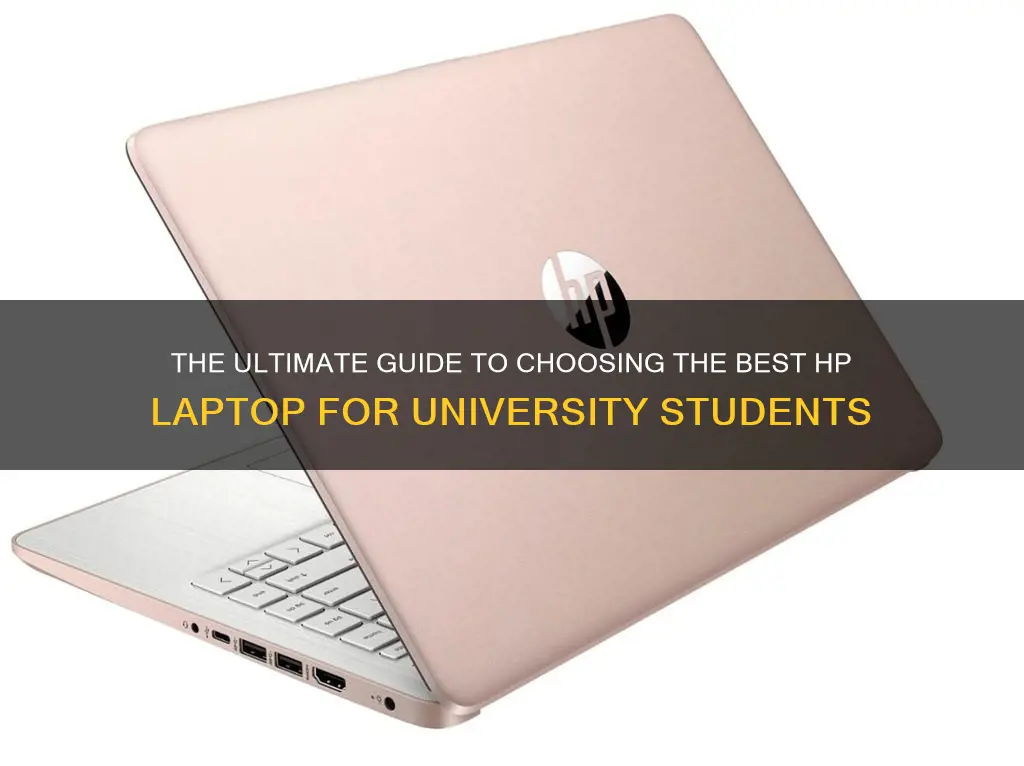 what is the best hp laptop for university students