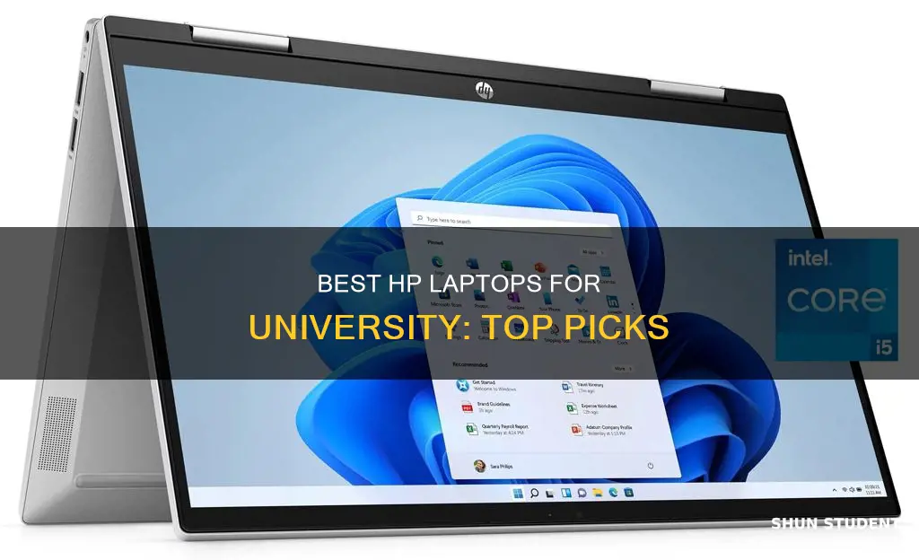 what is the best hp laptop for university students