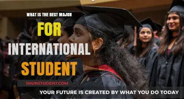 Best Majors for International Students: Top Picks