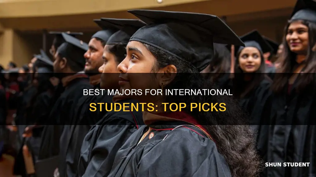 what is the best major for international student