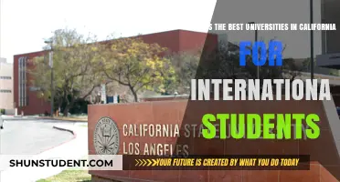 Top California Universities Attracting International Students