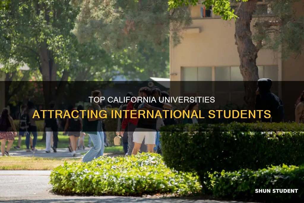 what is the best universities in california for international students