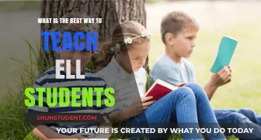 Effective Strategies for Teaching ELL Students: A Comprehensive Guide