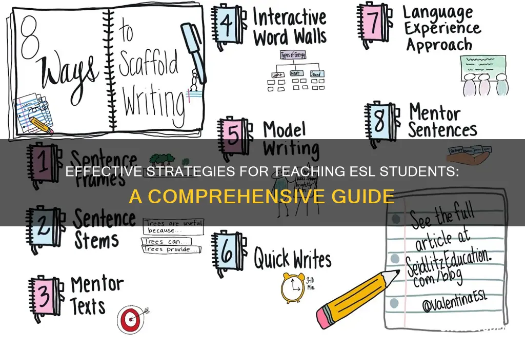 what is the best way to teach esl students