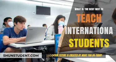 Teaching International Students: Strategies for Effective Learning