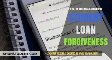 Understanding the Beta Launch of Student Loan Forgiveness Programs