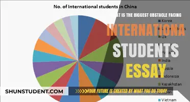 Navigating Challenges: International Students' Biggest Obstacles
