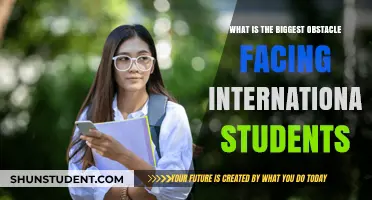 Challenges International Students Face in a Foreign Education System