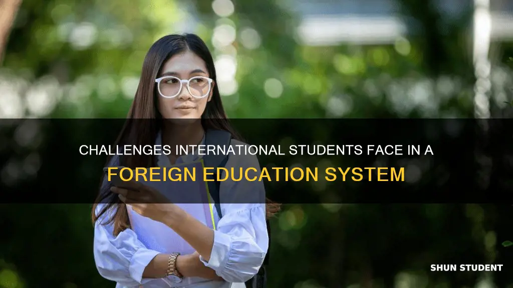 what is the biggest obstacle facing international students