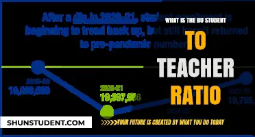 BU Student-to-Teacher Ratio: Understanding Class Sizes and Faculty Support