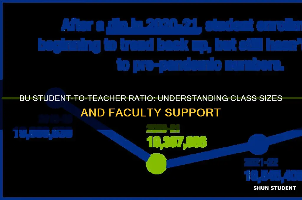 what is the bu student to teacher ratio