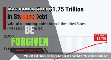 Will Student Debt Be Forgiven? Exploring the Possibility and Odds