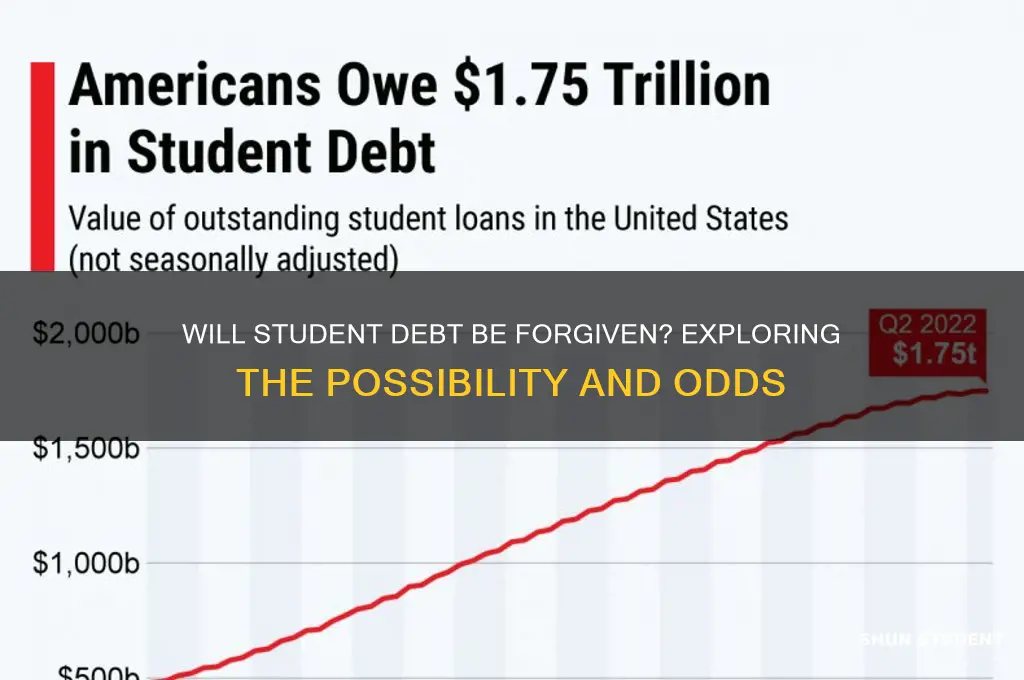 what is the chance that student debt will be forgiven