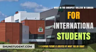 Affordable Canadian Colleges for International Students