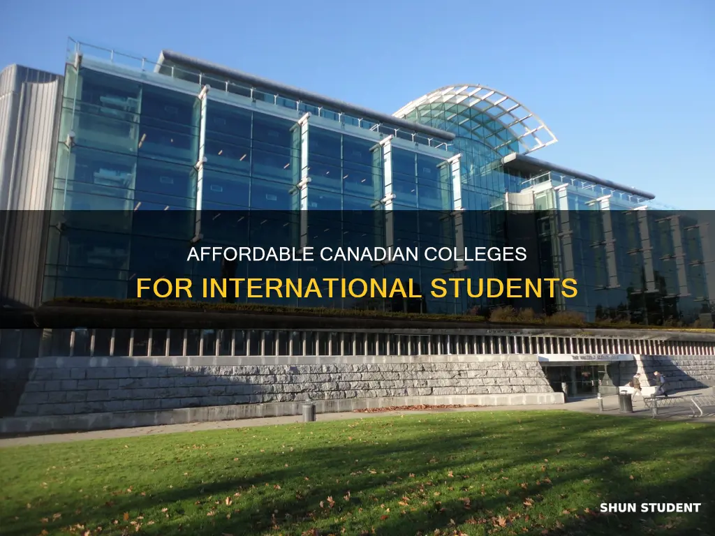 what is the cheapest college in canada for international students