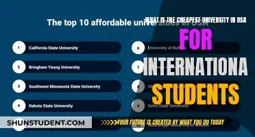 Affordable American University: International Student's Guide to Low-Cost Education