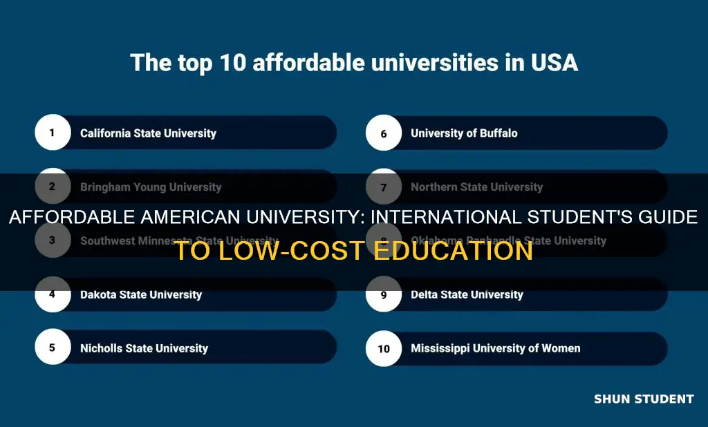 what is the cheapest university in usa for international students