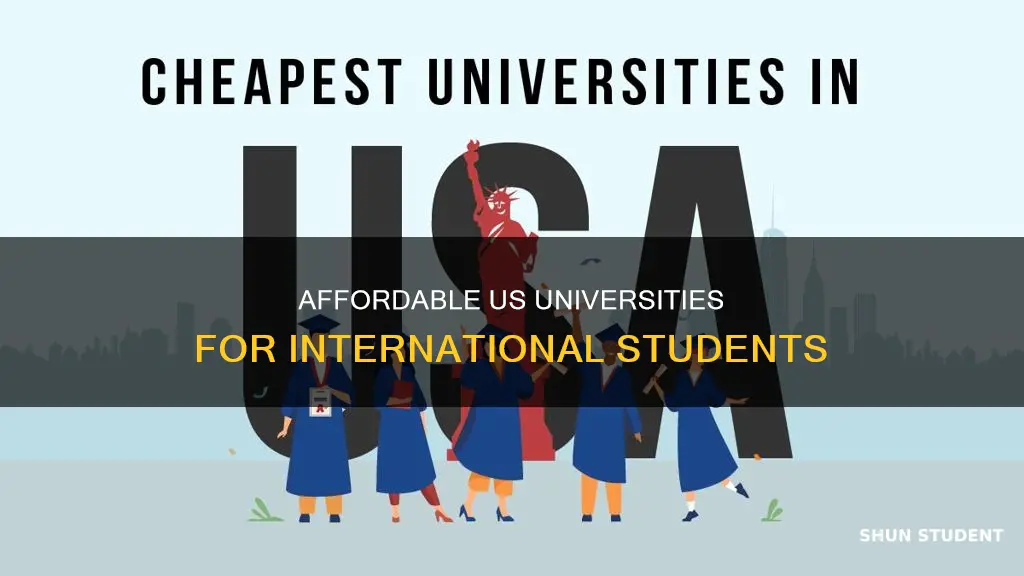 what is the cheapest university in usa for international students
