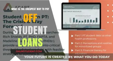 Student Debt: Strategies for Quick and Cheap Repayment