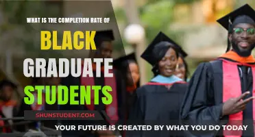 Unveiling the Journey: Black Graduate Students' Path to Completion