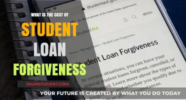 Understanding the Financial Impact of Student Loan Forgiveness Programs