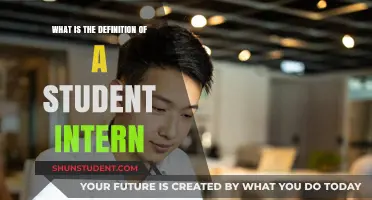 Internship Insights: Understanding Student Internships