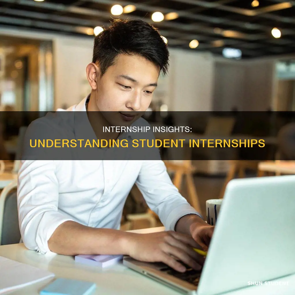 what is the definition of a student intern
