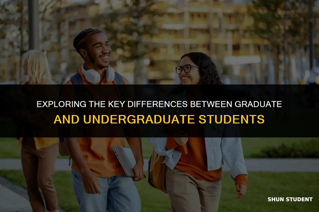 what is the difference between graduate studen and undergraduate student