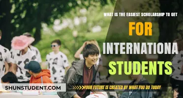 Easy Scholarships for International Students: Your Guide