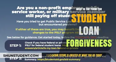 Understanding the Application Form for Student Loan Forgiveness Programs