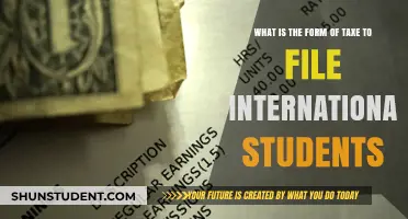 International Students: What Tax Forms to File?