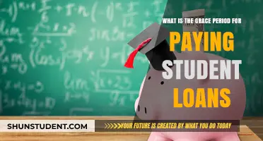 Understanding Student Loan Grace Periods and Payment Plans