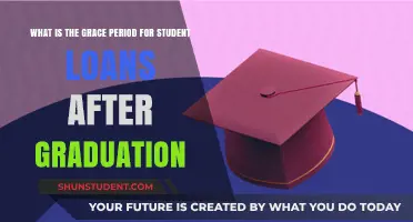 Navigating Post-Grad Finances: Understanding Your Student Loan Grace Period
