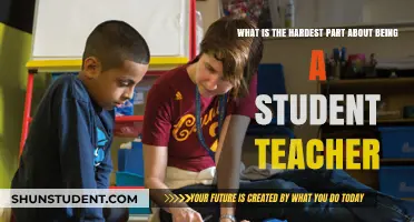 Navigating the Classroom: The Toughest Challenges for Student Teachers