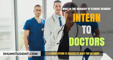 The Doctor's Journey: Student to Resident to Intern