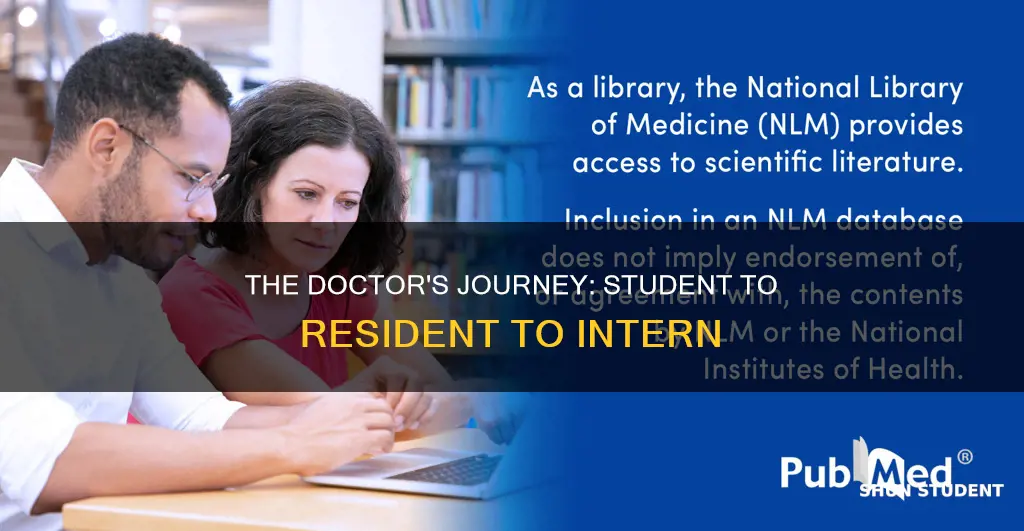 what is the hierachy of student resident intern to doctors